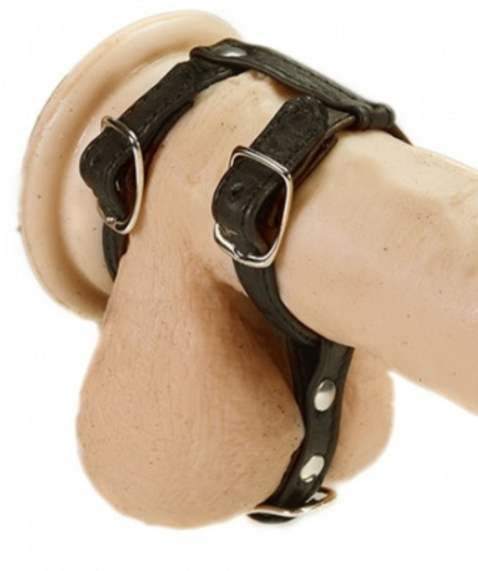 Leder Cockring Penisring m. Hodenteiler & Schnallen LUX