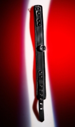 Leder Halsband m. Ring Wild Thing schwarz zweilagig & leicht gepolstert mit weichem Glattleder & O-Ring kaufen