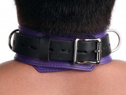 Leder Halsfessel Deluxe violett-schwarz abschliessbar