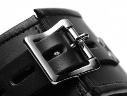 Leather Posture Collar padded lockable