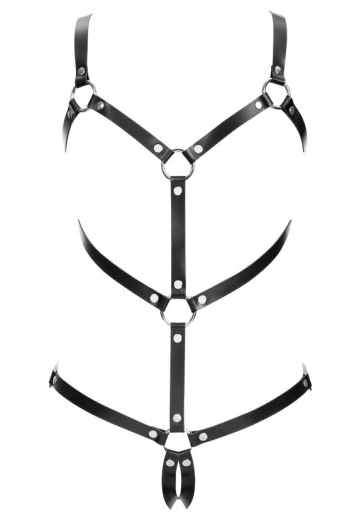 Leder Riemenbody m. Elastikbändern mit Schnalle hinten & Gummizug an Rücken & Gesäss Spaltleder von RIMBA kaufen