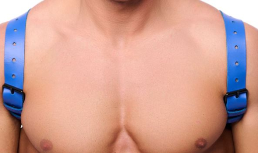 Leder Rückenharness m. Schulterriemen blau S-M aus 2mm starkem Rindsleder mit Schnallen günstig kaufen