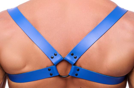 Leder Rückenharness m. Schulterriemen blau S-M mit Schnallen schwarze Metallhardware von THE RED günstig kaufen