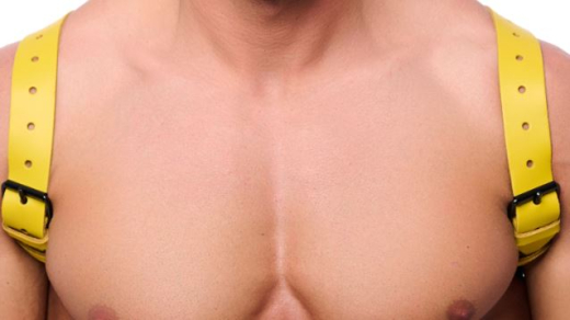 Leder Rückenharness m. Schulterriemen gelb L-XL aus 2mm starkem Rindsleder mit Schnallen günstig kaufen