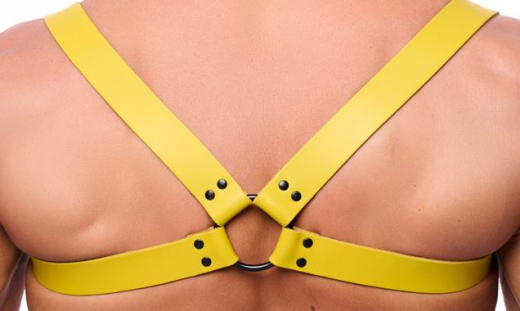 Leder Rückenharness m. Schulterriemen gelb S-M aus starkem Rindsleder mit Schnallen von THE RED günstig kaufen