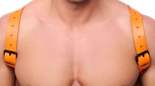 Leder Rückenharness m. Schulterriemen orange L-XL aus 2mm starkem Rindsleder mit Schnallen günstig kaufen