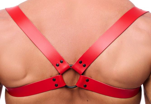 Leder Rückenharness m. Schulterriemen rot S-M mit Schnallen schwarze Metallhardware von THE RED günstig kaufen