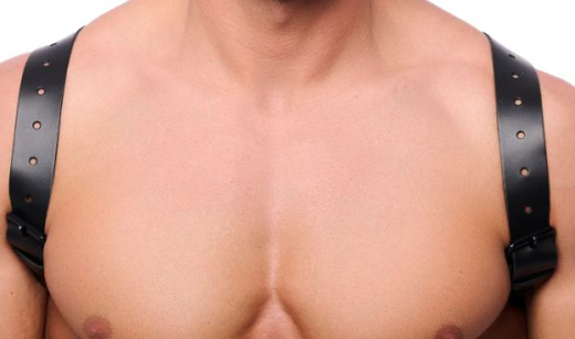 Leder Rückenharness m. Schulterriemen schwarz L-XL aus 2mm starkem Rindsleder mit Schnallen von THE RED kaufen