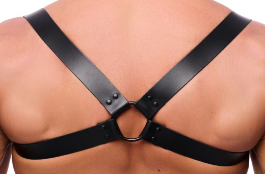 Leder Rückenharness m. Schulterriemen schwarz S-M aus 2mm Rindsleder mit Schnallen schwarze Metallhardware kaufen