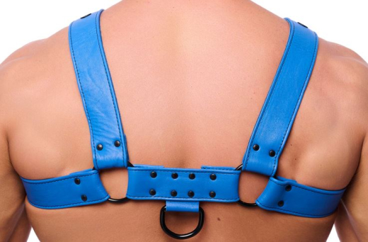 Leather Harness w. Snaps Bulldog blue L-XL masculine Chest-Harness 4cm wide Cowhide Straps by THE RED buy