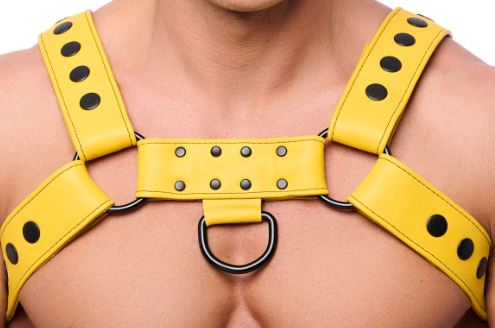 Lederharness m. Druckknöpfen Bulldog gelb S-M 4cm breite Rinds-Lederriemen mit D-Ringen günstig kaufen