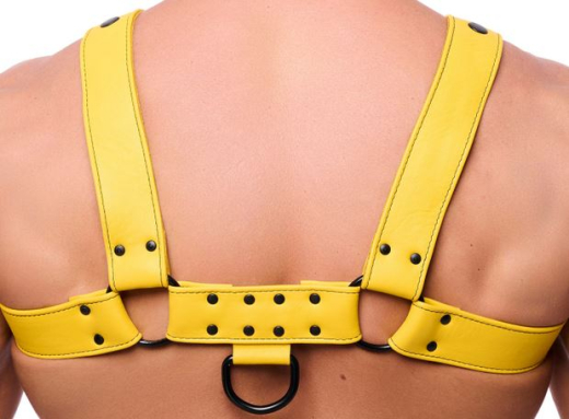 Lederharness m. Druckknöpfen Bulldog gelb S-M 4cm breite Lederriemen m. D-Ringen schwarze Metallhardware kaufen