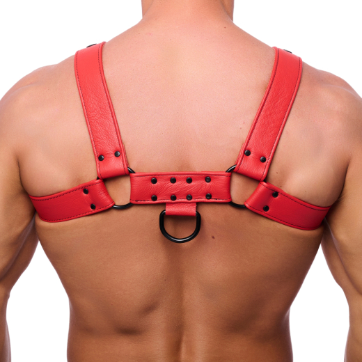 Leather Harness w. Snaps Bulldog red L-XL masculine Chest-Harness 4cm wide Cowhide Straps by THE RED buy cheap