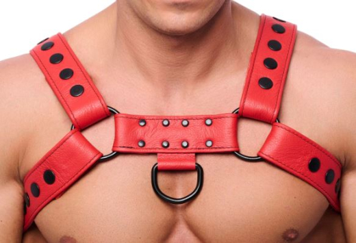 Lederharness m. Druckknöpfen Bulldog rot S-M 4cm breite Rinds-Lederriemen mit D-Ringen günstig kaufen