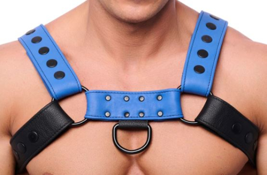 Leather Harness w. Snaps Bulldog black-blue L-XL masculine Chest-Harness w. black Metal Hardware by THE RED buy cheap