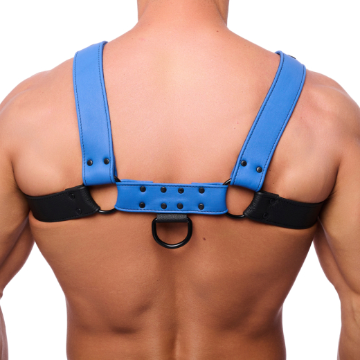 Leather Harness w. Snaps Bulldog black-blue L-XL masculine Chest-Harness 4cm wide Straps black Metal Hardware buy