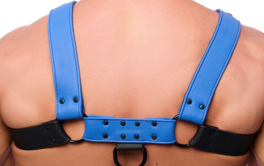 Lederharness m. Druckknöpfen Bulldog schwarz-blau S-M maskulin mit 4cm Lederriemen mit D-Ringen kaufen