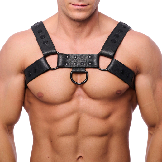 Lederharness m. Druckknöpfen Bulldog schwarz L-XL