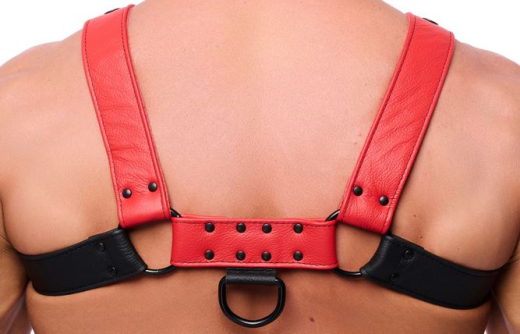 Lederharness m. Druckknöpfen Bulldog schwarz-rot L-XL maskulin mit 4cm breiten Lederriemen günstig kaufen