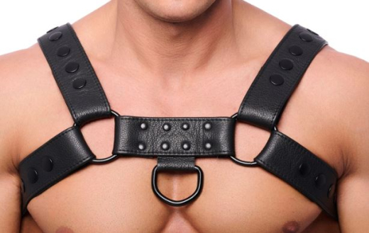Lederharness m. Druckknöpfen Bulldog schwarz S-M 4cm breite Rinds-Lederriemen mit D-Ringen günstig kaufen