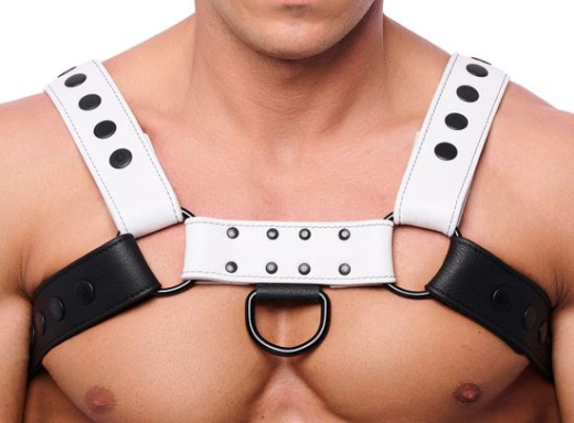 Lederharness m. Druckknöpfen Bulldog schwarz-weiss S-M 4cm Lederriemen per Druckknöpfe verstellbar kaufen