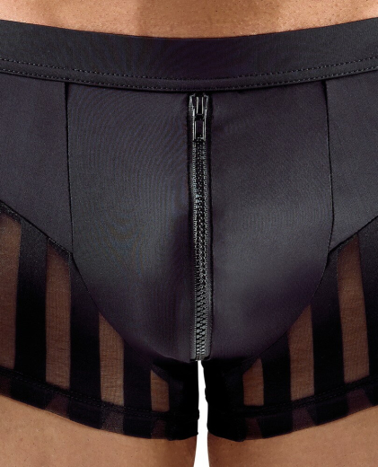 Pants m. transparenten Streifeneinsätzen Mikrofaser schwarz & elastisch mit Reissverschluss günstig kaufen