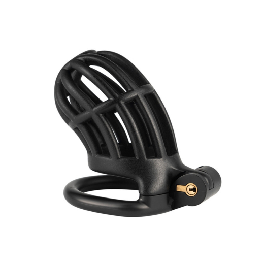 Penis-Cage w. integrated Lock Slutypig ABS black