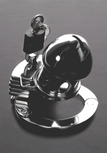 Cage à pénis Collier de chasteté réglable Bird Prison Acier inoxydable