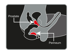 Prostata Vibrator Rocks-Off Bad Boy 7-Speed
