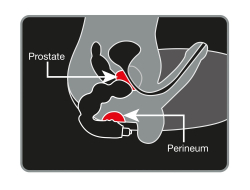 Prostata Vibrator Rocks-Off Big Boy 7-Speed