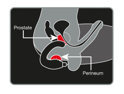 Prostata Vibrator Rocks-Off Rude Boy 7-Speed schwarz