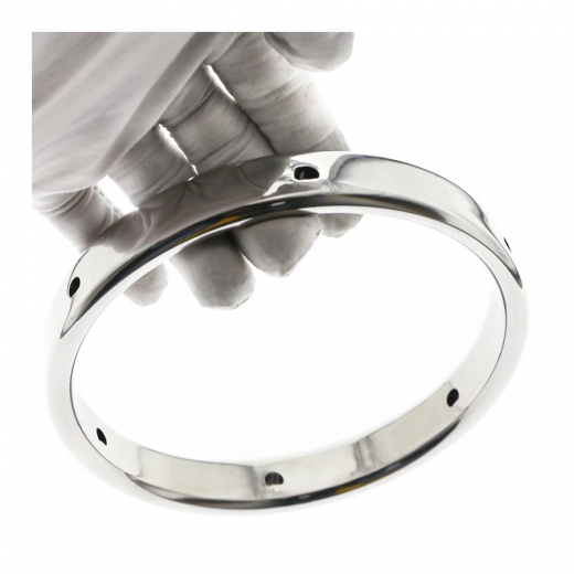 Ring-Spekulum m. Stellschrauben Fukr 9.5cm Chrom