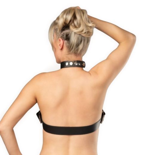 Harnais en cuir de selle avec collier et boucles Collier avec fermeture à pression en cuir de boeuf de RIMBA à bas prix