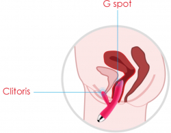 Svakom Trysta Rolling G-Punkt Rabbit Vibrator rot