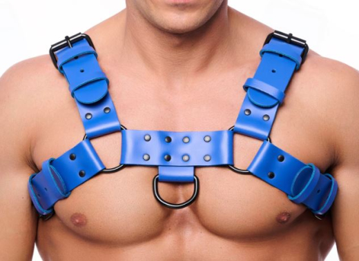 The-RED Bulldog Harness Leather blue S-M straight Cut @Front & Back black Metal Hardware 2mm strong Cowhide buy