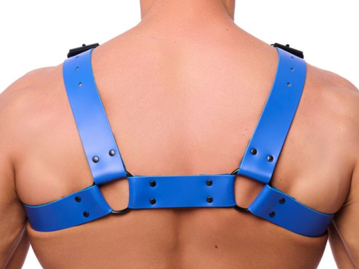 The-RED Bulldog Harness Leather blue S-M straight Cut black Metal Hardware 2mm strong & 4cm wide Cowhide buy cheap