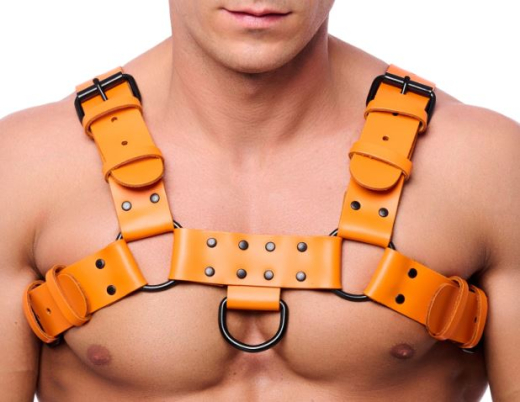 The-RED Bulldog Harness Leder orange S-M 2mm starke 4cm breite Lederriemen schwarze Metallhardware kaufen