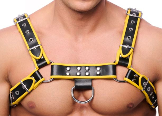 The-RED Premium Harness Leather black-yellow L-XL 4 Buckles silver-colored Metal Hardware 3.5cm Cowhide buy cheap