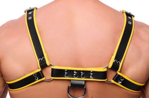 The-RED Premium Harness Leder schwarz-gelb S-M mit silberfarbenen 4 Schnallen 3.5cm Rindsleder-Riemen kaufen