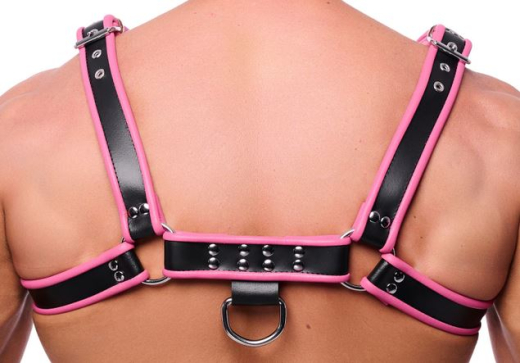 The-RED Premium Harness Leder schwarz-pink L-XL mit 4 Schnallen 3.5cm breite Lederriemen günstig kaufen