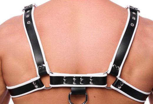 The-RED Premium Harness Leder schwarz-weiss L-XL 4 Schnallen 3.5cm breite Rindsleder-Riemen kaufen