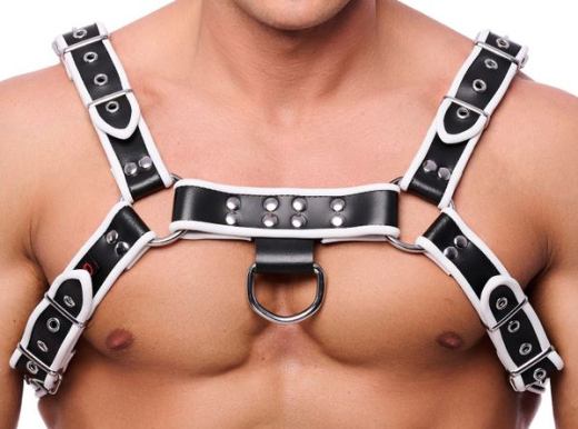 The-RED Premium Harness Leder schwarz-weiss S-M mit silberfarbenen 4 Schnallen 3.5cm Rindsleder-Riemen kaufen