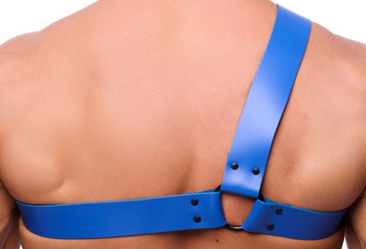 The-RED Shoulder-Harness Leather blue L-XL Roman-Style 2mm thick Cowhide black Metal Hardware by THE RED buy