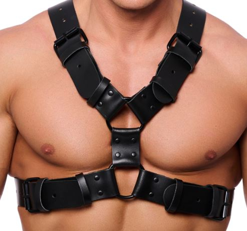 The-RED X-Harness Leather black S-M w. black Metal Hardware 2mm strong & 4cm wide Cowhide with Underbust Strap buy