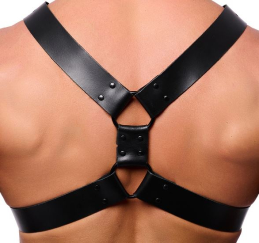 The-RED X-Harness Leather black S-M 2mm strong & 4cm wide Cowhide with Underbust Strap buy cheap