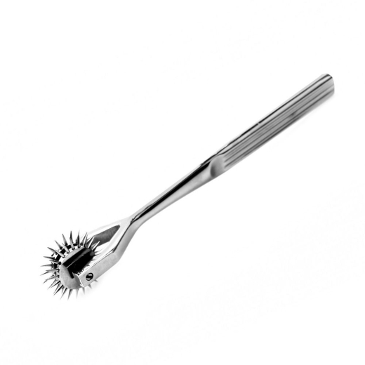 Wartenberg Pinwheel 2-Wheels Stainless Steel