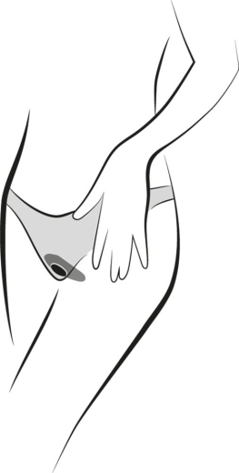 We-Vibe Moxie+ Panty Vibrator m. App Duo-Pack zum Sparpreis 2 Toys wasserdicht aufladbar m. FB von WE-VIBE kaufen