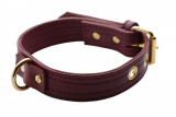 Leather Collar lockable Special burgundy