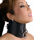 Leather Posture Collar lockable Curved