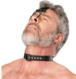 Lederhalsband m. Kopfriemen & Nasenhaken